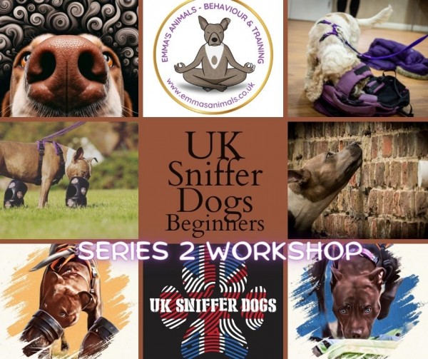 UK Sniffer Dogs Beginners Workshop Series 2